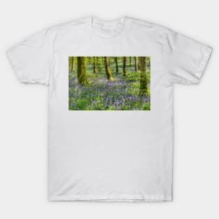 Bluebells in Cally Woods, Gatehouse of Fleet Dumfries Galloway Photo T-Shirt